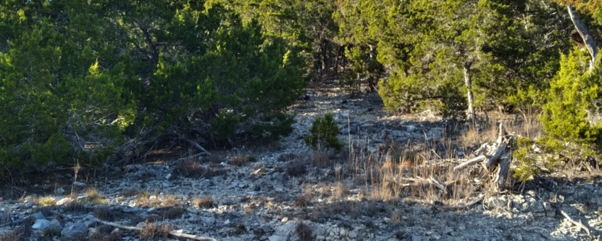 Lot 68 Butte Rd. Pipe Creek, Tx. $250,000